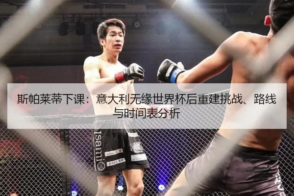 斯帕莱蒂下课：意大利无缘世界杯后重建挑战、路线与时间表分析