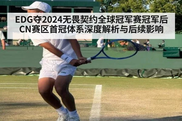 EDG夺2024无畏契约全球冠军赛冠军后CN赛区首冠体系深度解析与后续影响